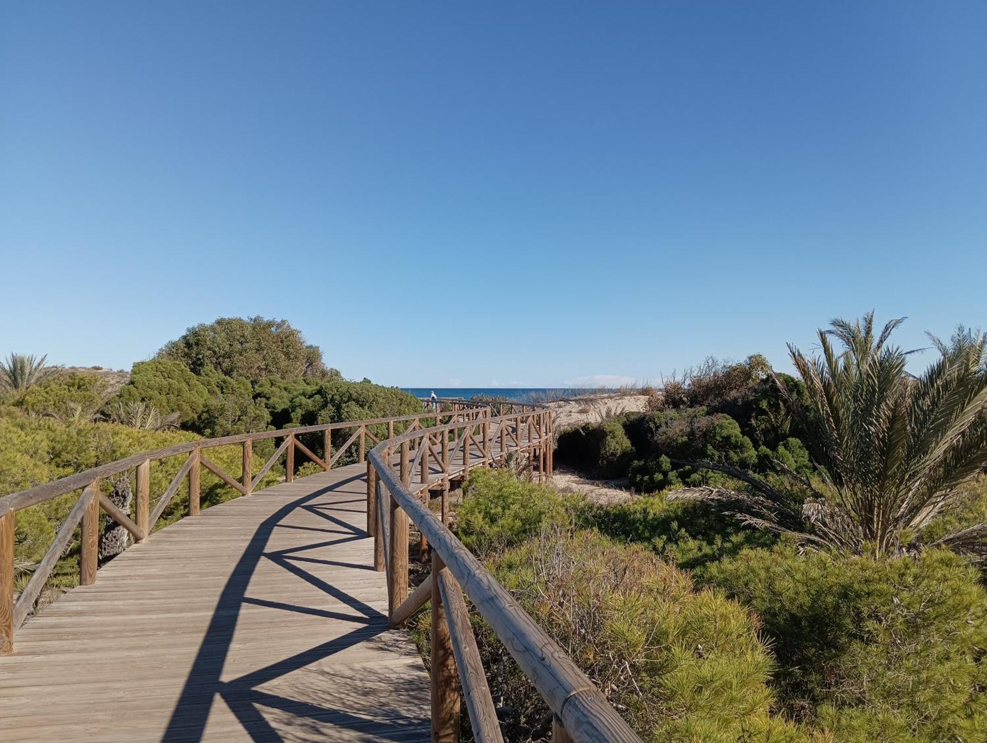Bonito Apartamento 150 M De La Playa La Mata La Mata  Exterior foto