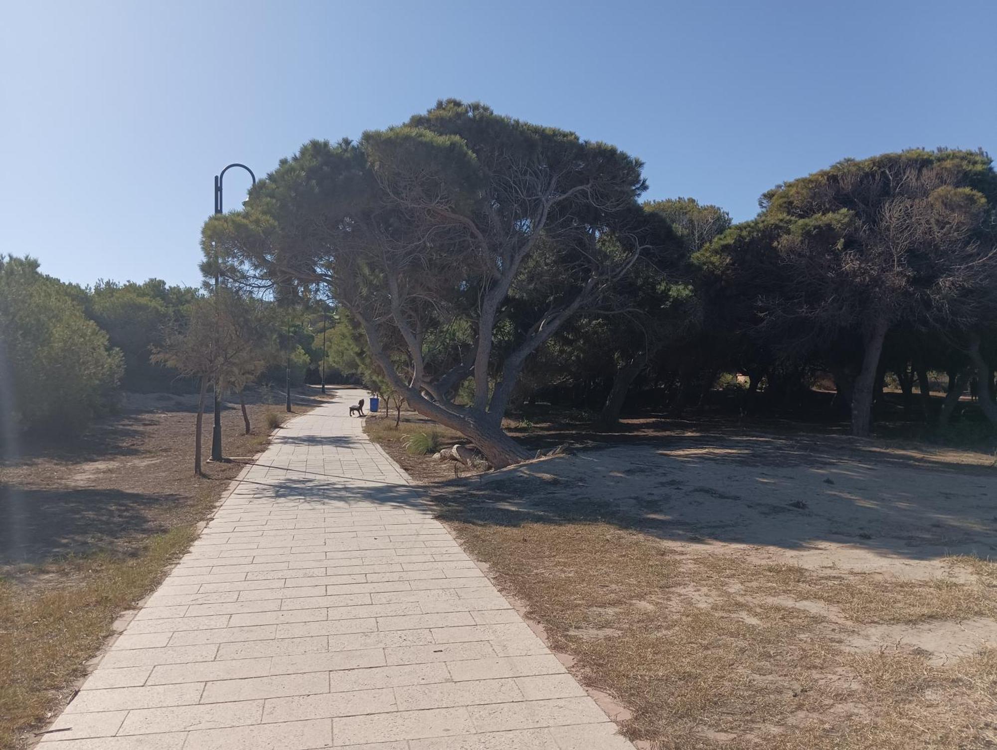 Bonito Apartamento 150 M De La Playa La Mata La Mata  Exterior foto